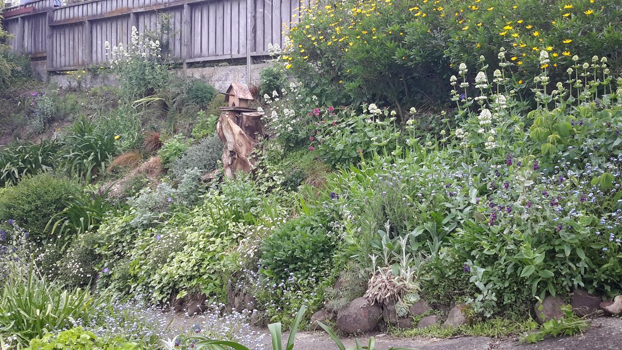 210 Hillsidecottageネルソン エクステリア 写真