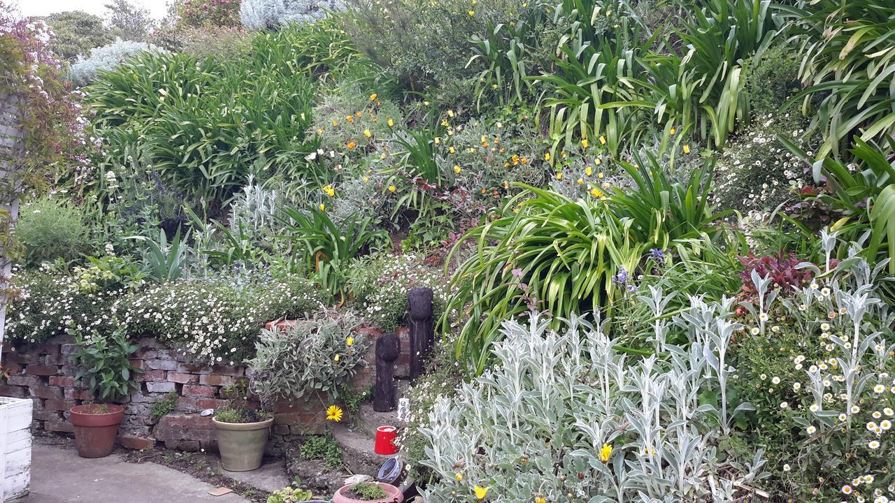 210 Hillsidecottageネルソン エクステリア 写真